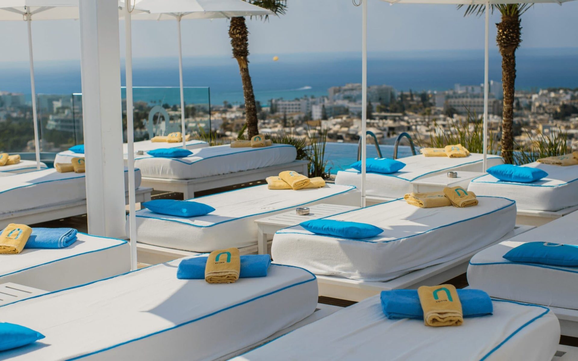 napa-suites-creative-archive-background