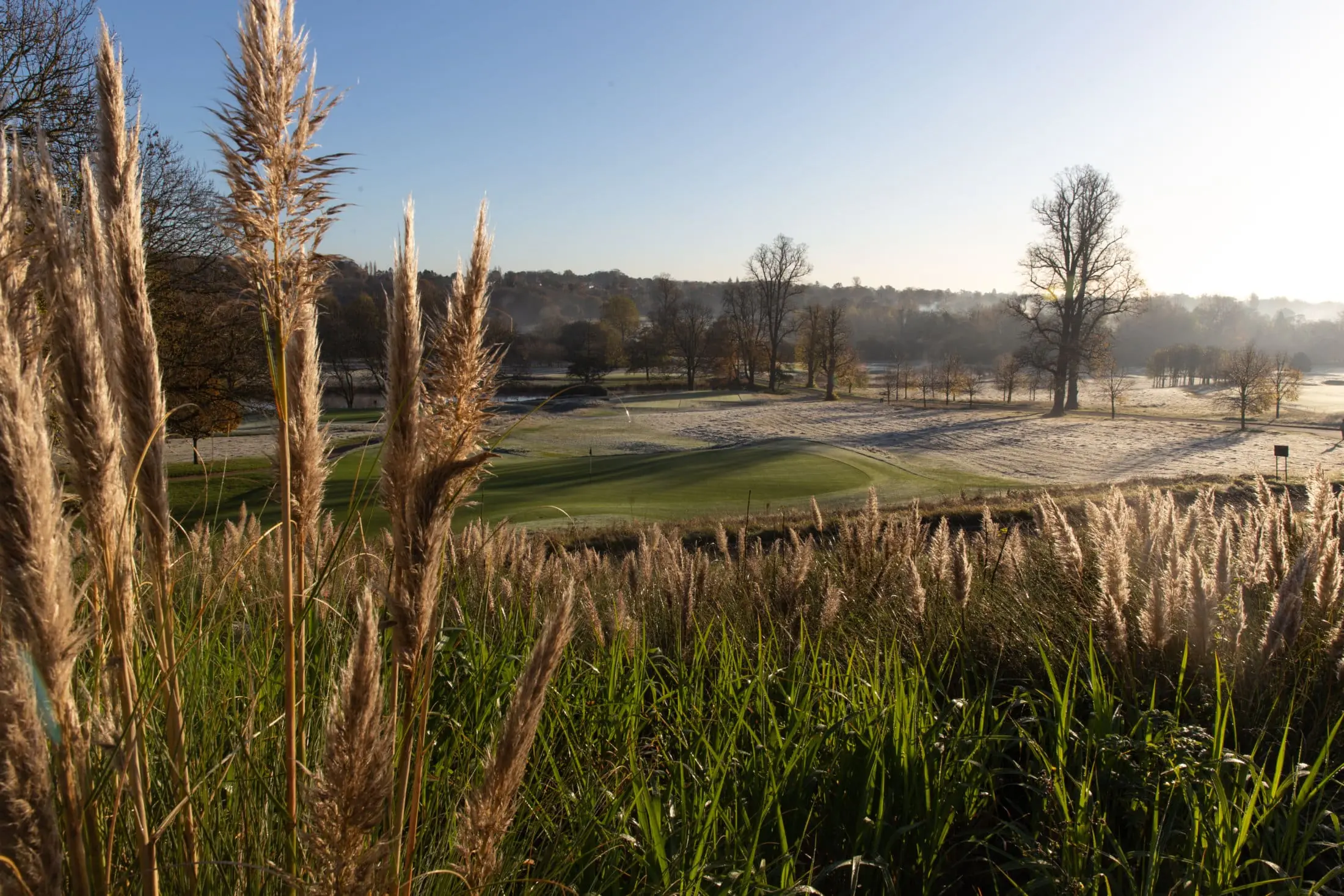 Autumn-Winter-Golf-Course-November-20-80