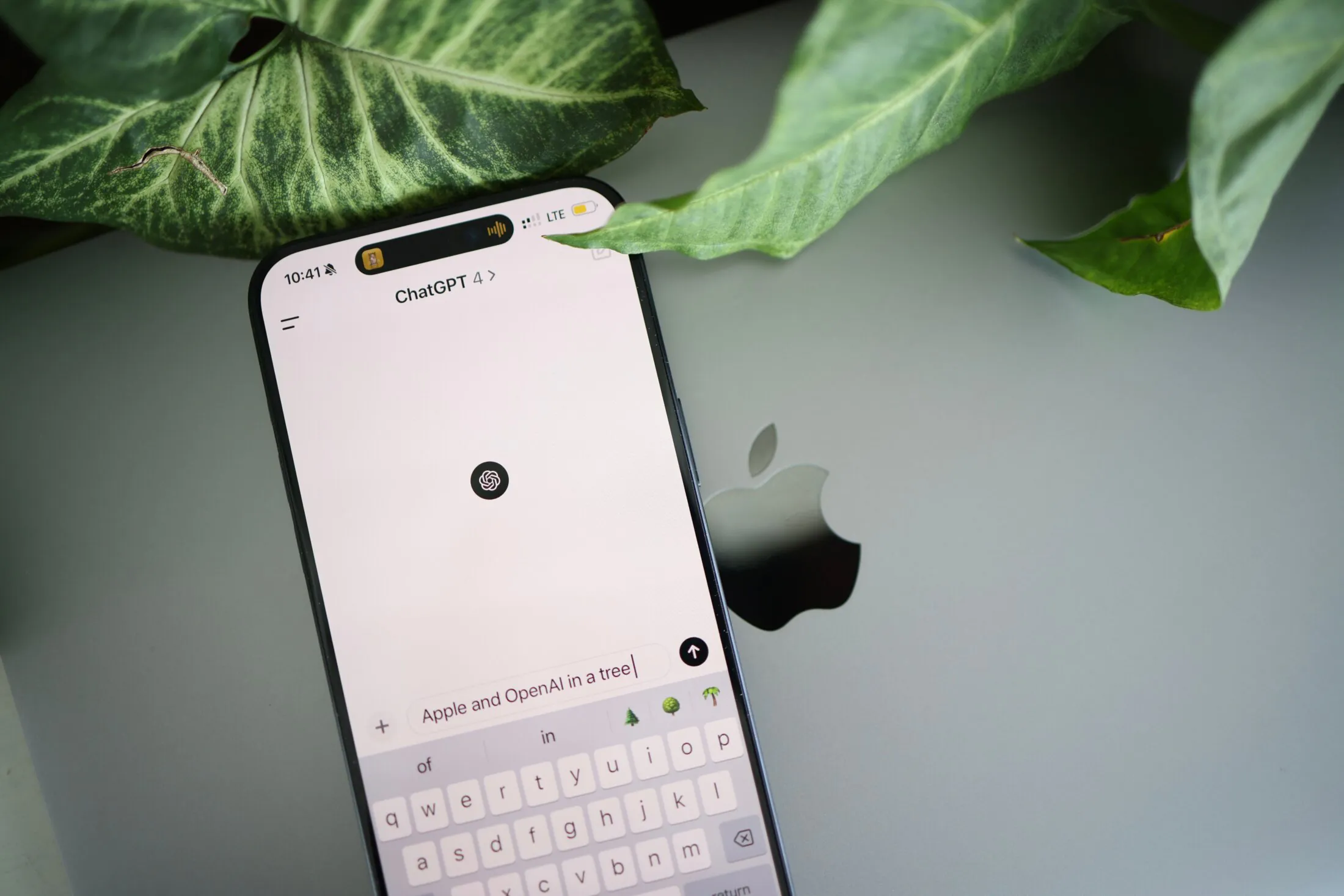 Mobile phone user on ChatGPT 4.0 search engine with plants in the background